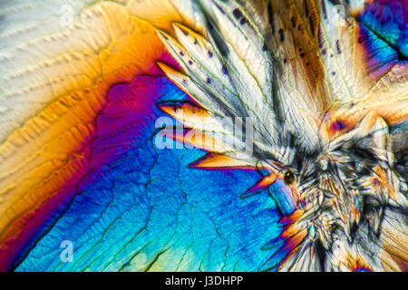 Microscopici cristalli di galattosio illuminato con luce polarizzata Foto Stock