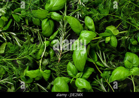 Le erbe fresche sfondo Foto Stock