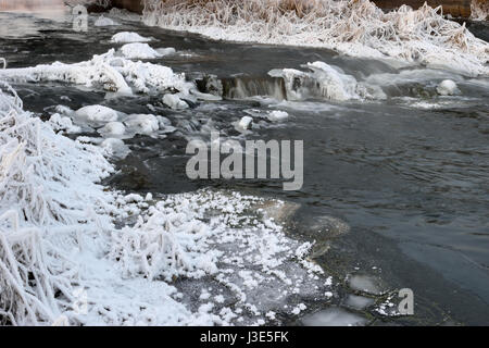 La formazione di schiuma rapide del fiume, coperto con crescite di ghiaccio e cespugli di erba secca in cristalli di brina sulle rive di una sera d'inverno Foto Stock