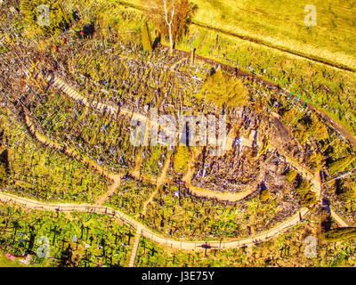 Regione di Siauliai, Lituania: antenna sopra vista collina delle Croci, Kryziu Kalnas. Si tratta di un famoso sito religioso di pellegrinaggio cattolico in Lituania. Essere Foto Stock