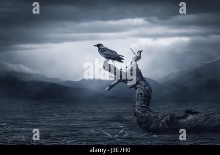 Raven nero in moonlight appollaiato sulla struttura ad albero. Scary, creepy, impostazione di stile gotico. Nuvoloso notte. Halloween Foto Stock