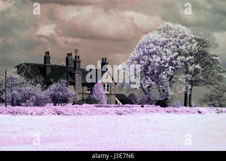 Infrared country farm house nel Cheshire Foto Stock