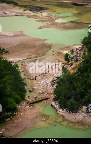 Piscine termali in Wai-O-Tapu area termale, a Rotorua, Nuova Zelanda Foto Stock