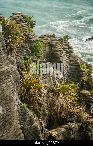 Punakaki Pancake Rocks in Paparoa National Park, Nuova Zelanda Foto Stock