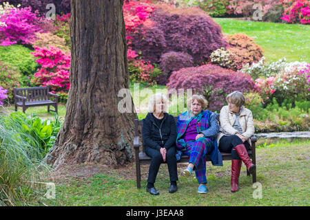 Visitatori sat sul banco di ammirare i giardini, incredibili rododendri e azalee a Exbury Gardens, New Forest National Park, Hampshire nel maggio molla Foto Stock