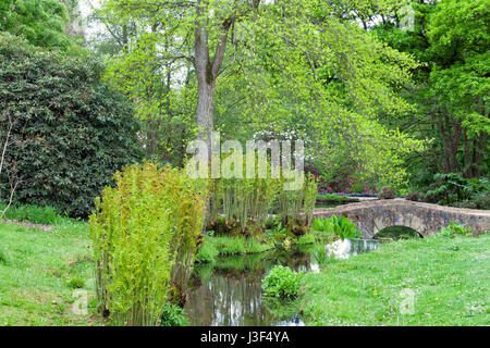 Giardino paesaggistico con un vecchio ponte in pietra sopra un piccolo fiume circondato dal verde di felci, di alberi e arbusti, in un giorno di estate, nel sud-est dell' Inghilterra . Foto Stock