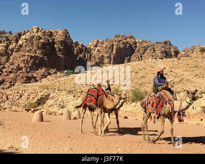 Arabo e bedouin camel piloti di Petra, sito del Patrimonio Mondiale in Giordania, Medio Oriente Foto Stock