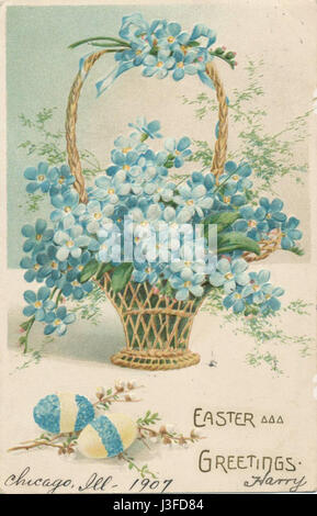 Dimenticare me not e cesto 1907 Foto Stock