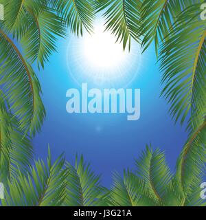 Alberi di palma tropicali cornice che circonda un blu cielo soleggiato Illustrazione Vettoriale