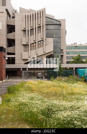 Leeds, England, Regno Unito - 29 Giugno 2015: xx secolo brutalist edifici in cemento presso l'Università di Leeds. Foto Stock