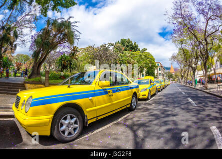 Giallo taxi sulla Avenida Arriaga, Funchal, Madeira Foto Stock