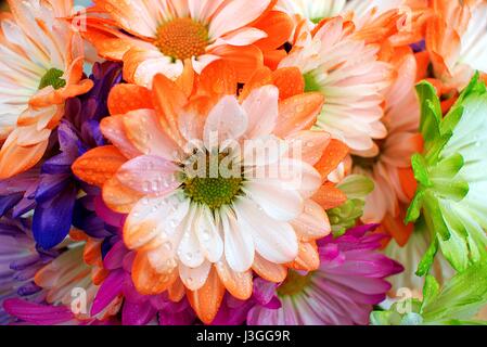 Coloratissimo bouquet di fiori Foto Stock