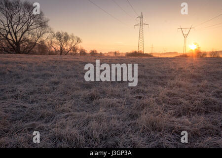 Linea ad alta tensione supporta alla mattina presto in campo il pupazzo di neve con erba vecchia fulgido di sunrise Foto Stock