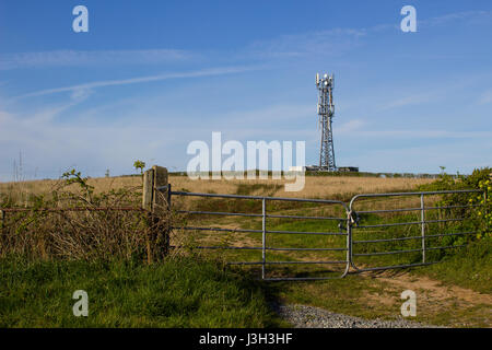 Un tipico della radio e della rete telefonica mobile telecommunications tower situare in terreni agricoli vicino Groomsport nella contea di Down, Irlanda del Nord fa un impres Foto Stock