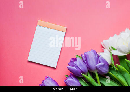 Bouquet di bella bianco e viola i tulipani giacciono su rosa colore di sfondo, accanto a una nota vuota prenota Foto Stock