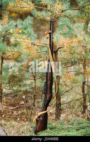 Dyatlovichi, Bielorussia - Ottobre 1, 2016: Old Soviet russo Mosin-Nagant M91 fucile di II Guerra Mondiale appoggiata contro il tronco di albero. Arma di Esercito Rosso. Foto Stock