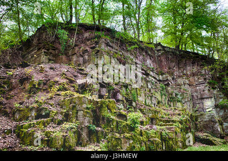 Una vecchia cava di pietra arenaria rossa, Helmarshausen, Bad Karlshafen, Superiore Valle Weser, Weser Uplands, Weserbergland, Reinhardswald, Hesse, Germania, Euro Foto Stock