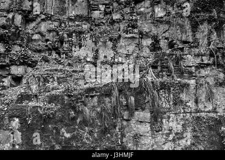 Una vecchia cava di pietra arenaria rossa, Helmarshausen, Bad Karlshafen, Superiore Valle Weser, Weser Uplands, Weserbergland, Reinhardswald, Hesse, Germania, Euro Foto Stock