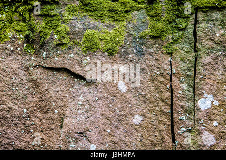 Una vecchia cava di pietra arenaria rossa, Helmarshausen, Bad Karlshafen, Superiore Valle Weser, Weser Uplands, Weserbergland, Reinhardswald, Hesse, Germania, Euro Foto Stock