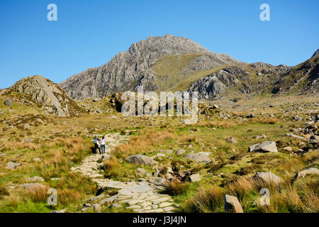 Tryfan, un robusto montagna nel Parco Nazionale di Snowdonia, una delle 14 montagne gallese superiore a 3.000 m. di altezza. Fotografato dal sentiero Foto Stock