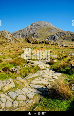 Tryfan, un robusto montagna nel Parco Nazionale di Snowdonia, una delle 14 montagne gallese superiore a 3.000 m. di altezza. Fotografato dal sentiero Foto Stock