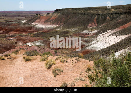 Interessante formazione geografica nel Deserto Dipinto di Arizona Foto Stock