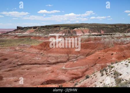 Interessante formazione geografica nel Deserto Dipinto di Arizona Foto Stock