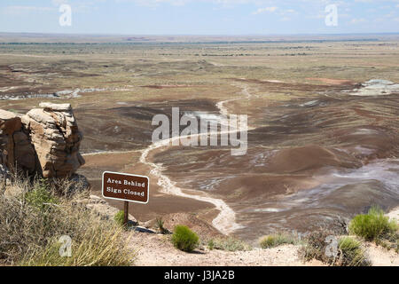 Letto asciutto del fiume nel Deserto Dipinto di Arizona Foto Stock