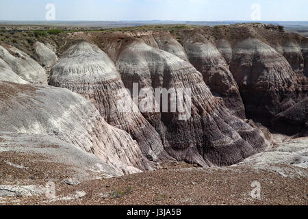 Interessante formazione geografica nel Deserto Dipinto di Arizona Foto Stock