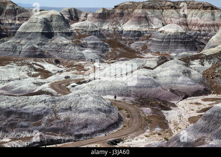 Interessante formazione geografica nel Deserto Dipinto di Arizona Foto Stock