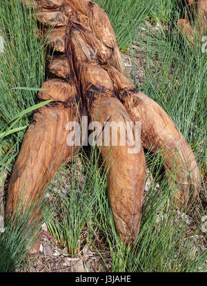 In legno intagliato dragon per artista Morganico in Vauxhall Pleasure Gardens, Londra Foto Stock