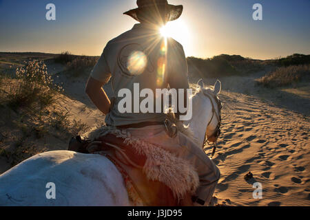 Cavallo da Cabo Polonio a Barra de Valizas, Rocha Dipartimento, Uruguay. Foto Stock