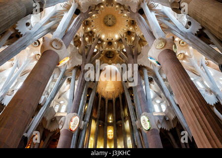 All'interno de la Sagrada Familia di Barcellona, Spagna. Dio e l'apice dell'interno. Foto Stock
