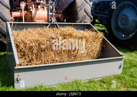 Balla di fieno nella parte posteriore del caricatore su un classico trattore Massey Ferguson Foto Stock