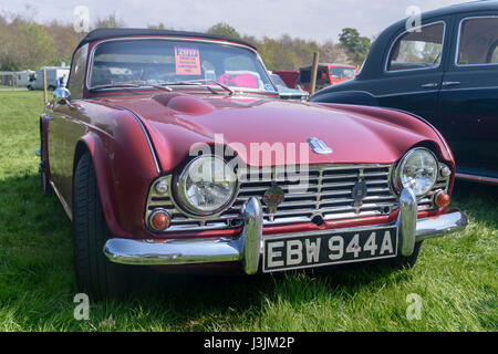 Viola/rosso Triumph TR4 Foto Stock