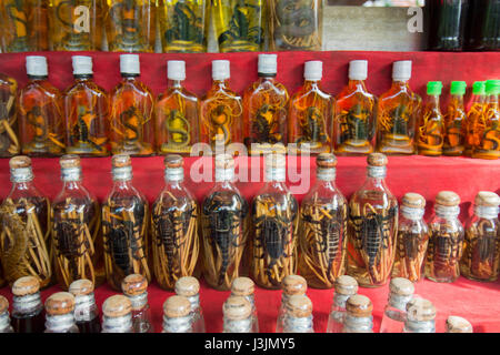 Un lao lao whiskey Shop in Laos Laos Divieto di villaggio Xabg Hay presso il fiume Mekong nella città di Luang Prabang nel nord del Laos in Southeastasia. Foto Stock