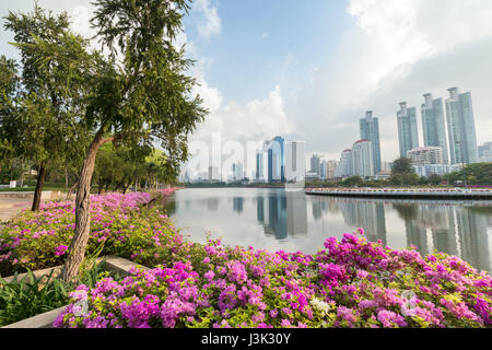 Aiuole in fiore al Benjakiti (Benjakitti) Park e i moderni grattacieli di Bangkok, Tailandia. Foto Stock