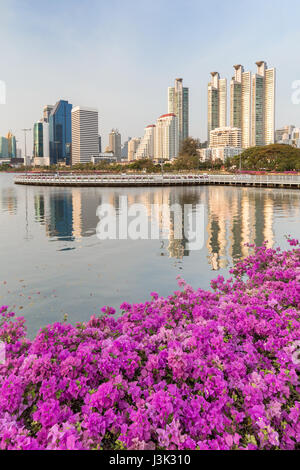 Fiore all'Benjakiti (Benjakitti) Park e la riflessione di grattacieli di Bangkok, Tailandia. Foto Stock