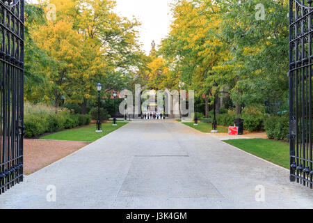 Cancello alla University of Chicago campus in caduta. Foto Stock