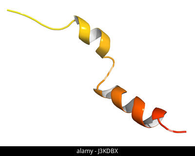 Peptide Liraglutide molecola di farmaco. Agonista del glucagone-peptide-1 simile a recettore utilizzato nel trattamento di diabete e obesità. Modello di Cartoon, N-a-C co Foto Stock