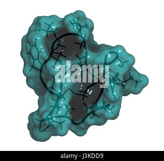 Ziconotide dolore molecola di farmaco. Forma sintetica di omega conotossina dal cono lumaca. Cartoon & wire frame + modello semi-trasparenti di superficie. Foto Stock