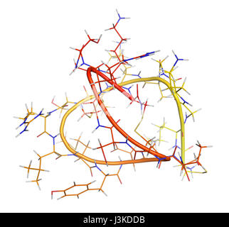 Ziconotide dolore molecola di farmaco. Forma sintetica di omega conotossina dal cono lumaca. Cartoon + linea modello; N-a-C la colorazione di gradiente. Foto Stock