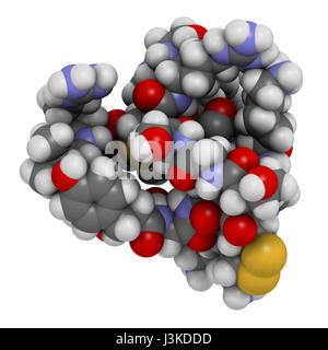 Ziconotide dolore molecola di farmaco. Forma sintetica di omega conotossina dal cono lumaca. Atomi come illustrato a colori codificati a sfere. Foto Stock