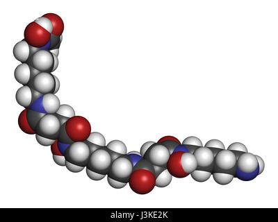 Deferossamina molecola di farmaco. Usato per il trattamento di avvelenamento di ferro (emocromatosi). Gli atomi sono rappresentati come sfere con i tradizionali colori: idrogeno Foto Stock