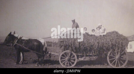 Questa immagine mostra fotografie storiche della fattoria Kinneret, situata vicino al mare di Galilea. La fattoria ha un significativo valore storico e agricolo, in particolare nel contesto del primo insediamento sionista in Palestina. Foto Stock
