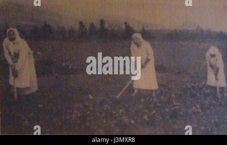 "Immagini storiche di Kinneret Farm P1180680" documenta le prime fotografie della Kinneret Farm in Israele, mostrando le attività agricole e lo sviluppo della regione all'inizio del XX secolo, evidenziando l'insediamento sionista. Foto Stock