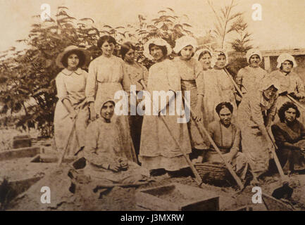 Fotografie storiche della Kinneret Farm, un importante sito agricolo e storico situato vicino al Mare di Galilea, che mostra il suo sviluppo e il suo ruolo nella storia israeliana. Foto Stock
