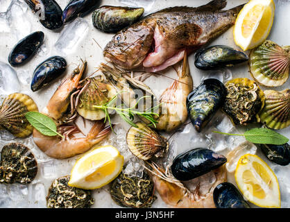 Pesce fresco con erbe e limone sul ghiaccio. Gamberi e pesce, cozze, capesante su acciaio vassoio di metallo Foto Stock