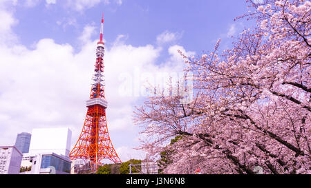 La torre di Tokyo con sakura in primo piano nella primavera del tempo a Tokyo Foto Stock