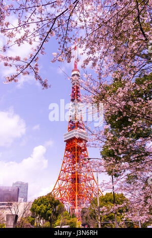 La torre di Tokyo con sakura in primo piano nella primavera del tempo a Tokyo Foto Stock